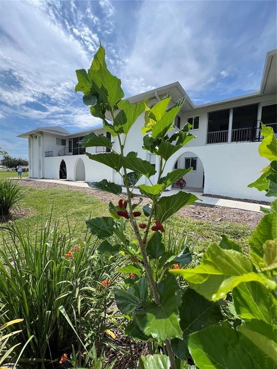 For Rent: $1,600 (2 beds, 2 baths, 815 Square Feet)