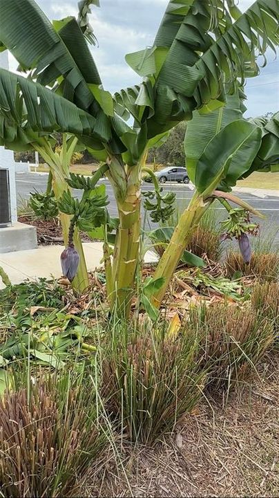 For Rent: $1,600 (2 beds, 2 baths, 815 Square Feet)