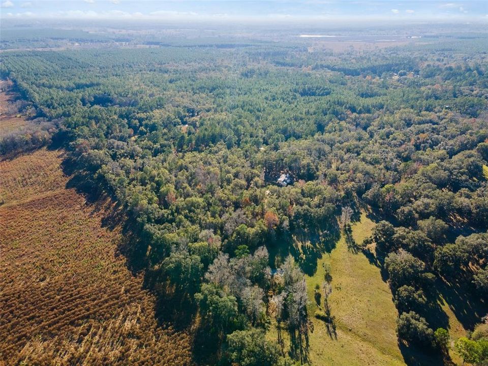 For Sale: $749,000 (3 beds, 2 baths, 2259 Square Feet)