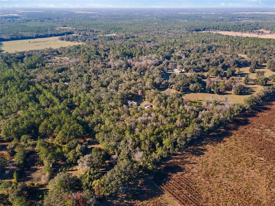 For Sale: $749,000 (3 beds, 2 baths, 2259 Square Feet)