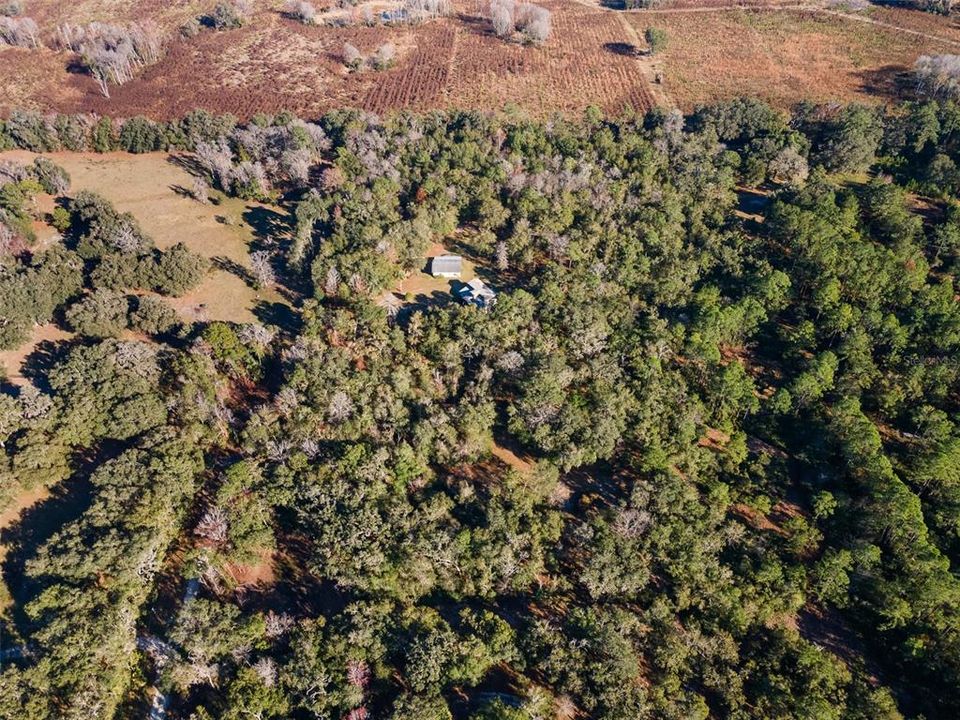 For Sale: $749,000 (3 beds, 2 baths, 2259 Square Feet)