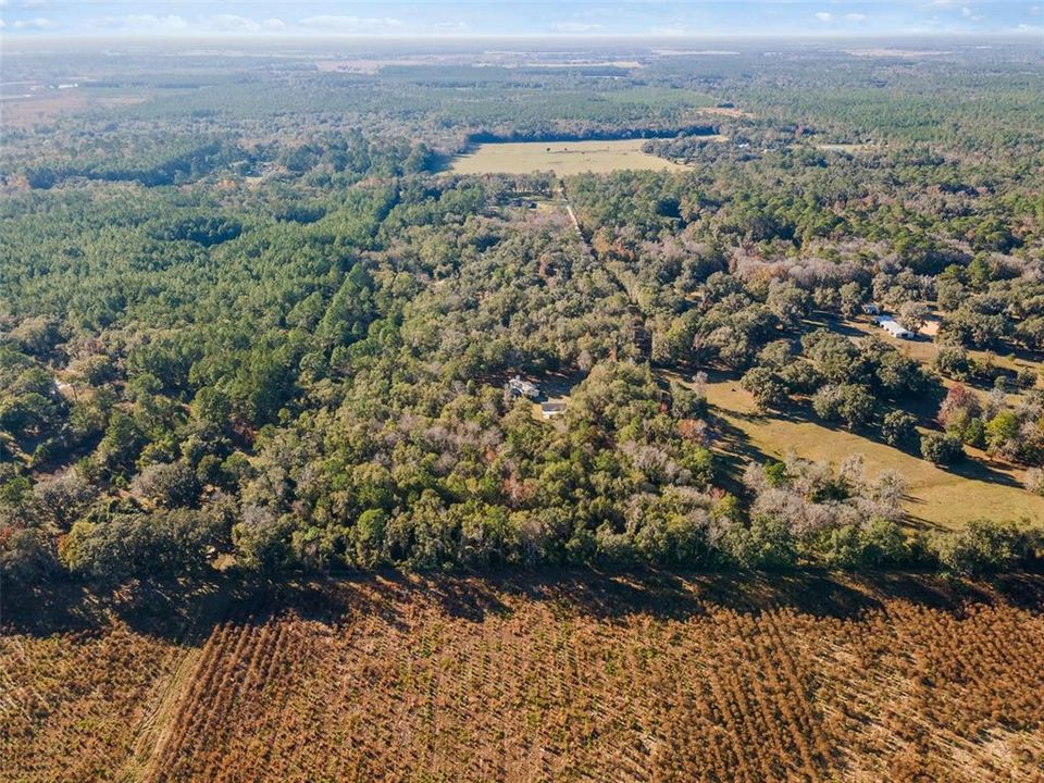 For Sale: $749,000 (3 beds, 2 baths, 2259 Square Feet)