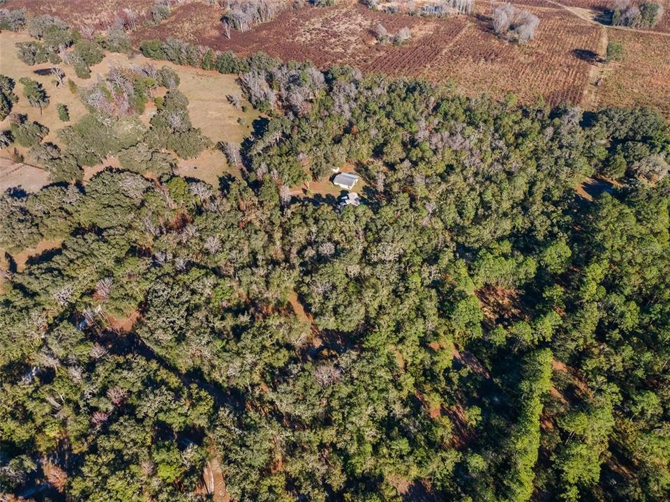 For Sale: $749,000 (3 beds, 2 baths, 2259 Square Feet)