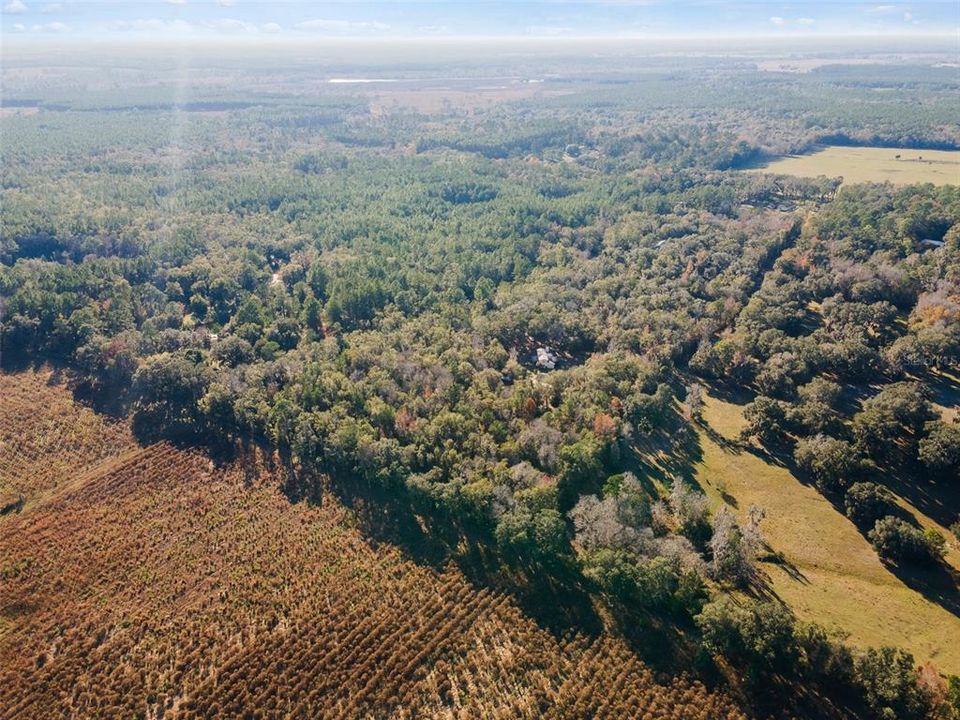For Sale: $749,000 (3 beds, 2 baths, 2259 Square Feet)