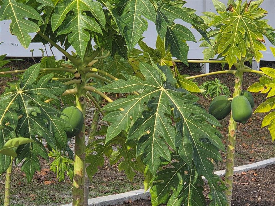 En Venta: $319,900 (3 camas, 2 baños, 1080 Pies cuadrados)