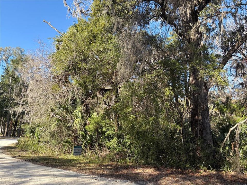 For Sale: $90,000 (4.10 acres)