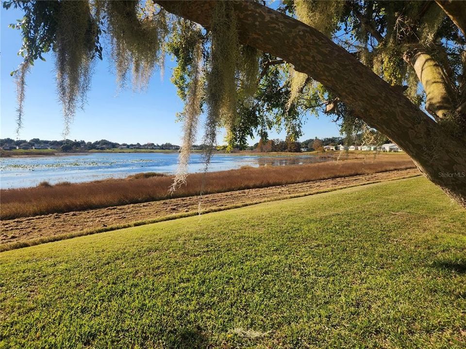 В аренду: $2,000 (2 спален, 2 ванн, 1724 Квадратных фут)