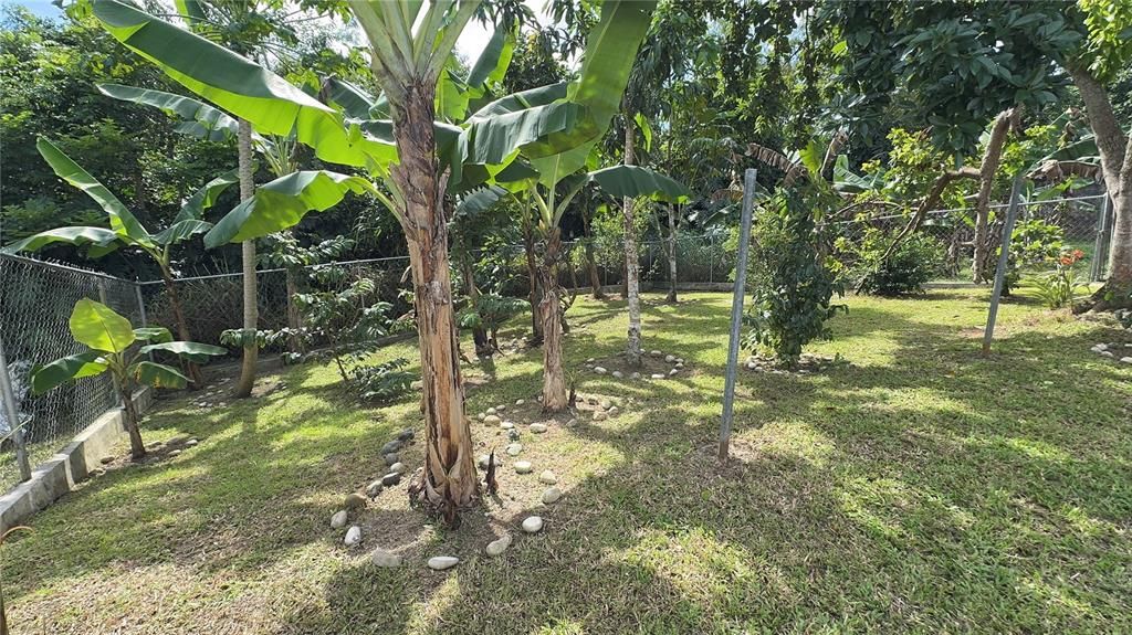 Active With Contract: $325,000 (4 beds, 2 baths, 2000 Square Feet)