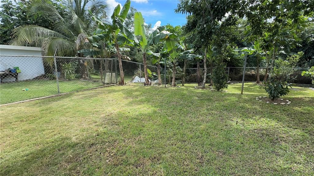 Active With Contract: $325,000 (4 beds, 2 baths, 2000 Square Feet)