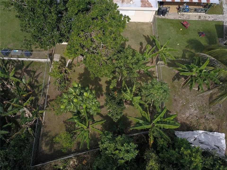 Active With Contract: $325,000 (4 beds, 2 baths, 2000 Square Feet)