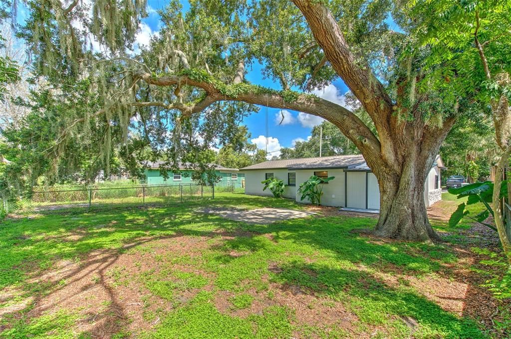 En Venta: $225,000 (3 camas, 1 baños, 1119 Pies cuadrados)