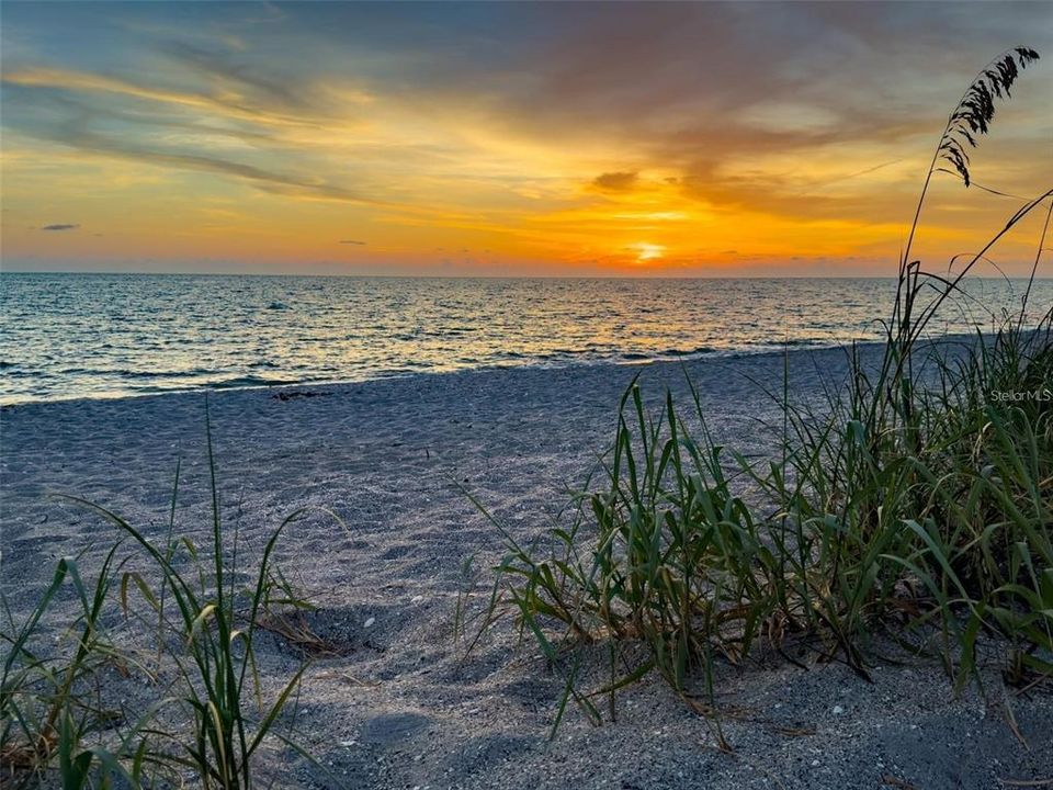 На продажу: $549,000 (4 спален, 2 ванн, 2239 Квадратных фут)