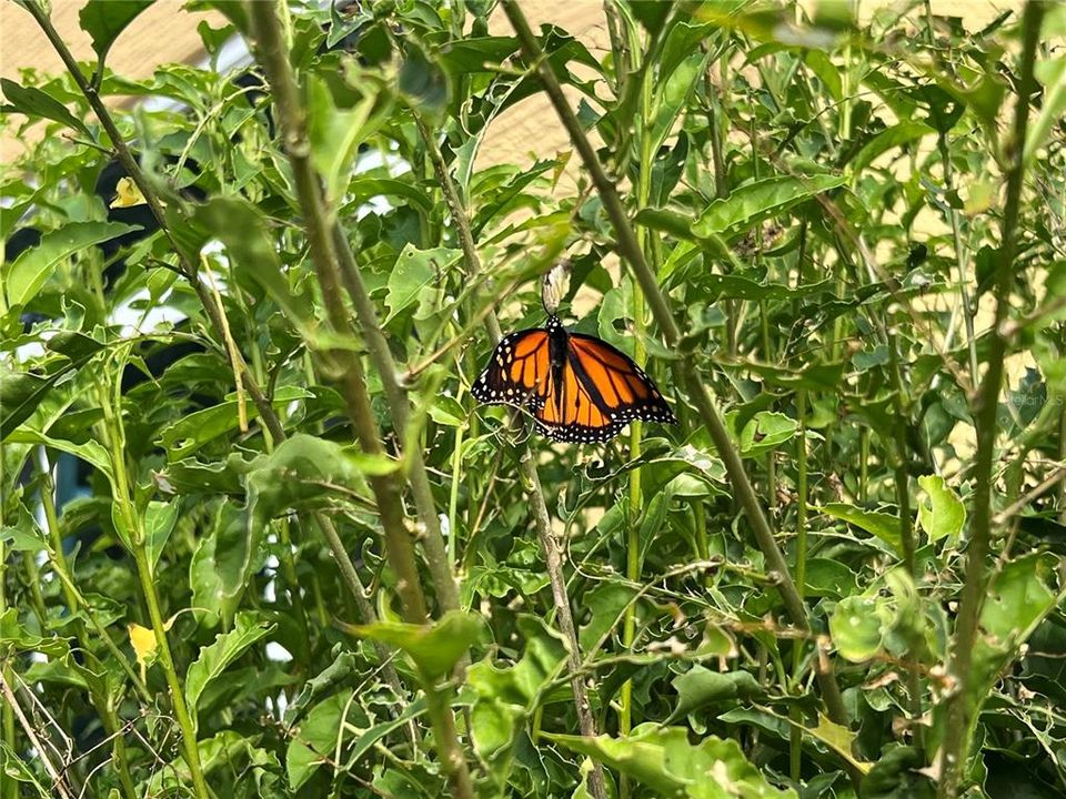 For Sale: $399,000 (3 beds, 2 baths, 1898 Square Feet)