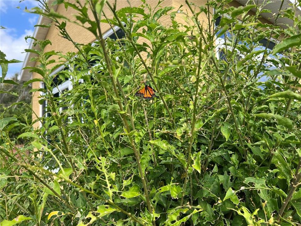 For Sale: $399,000 (3 beds, 2 baths, 1898 Square Feet)