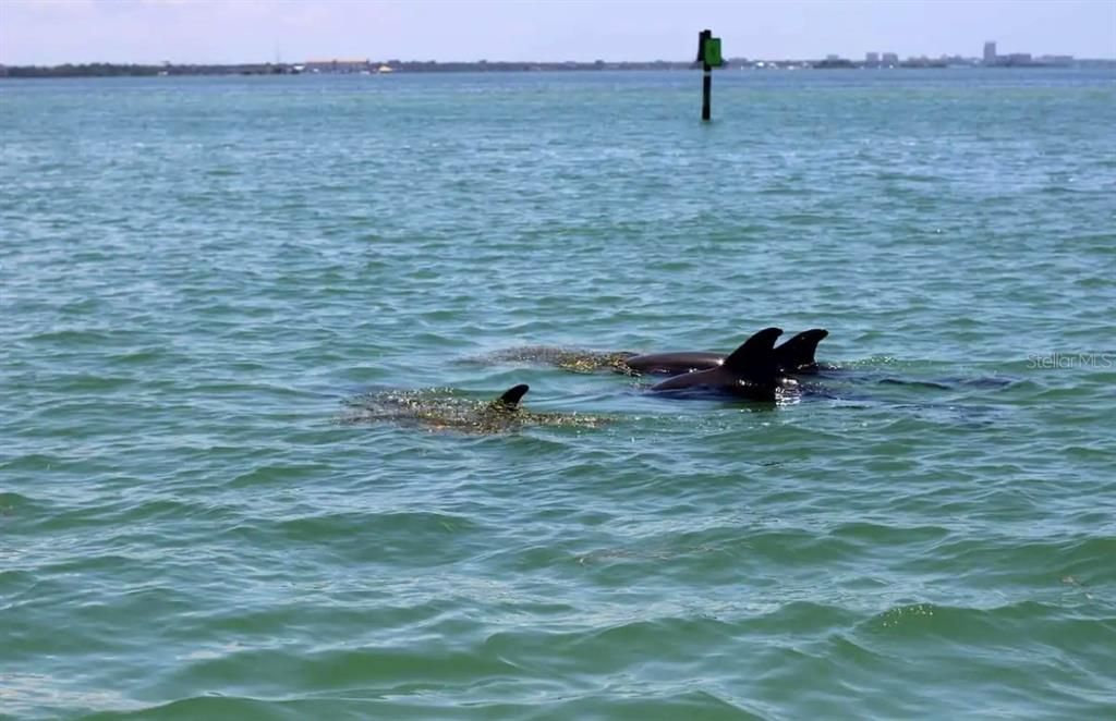 For Sale: $340,000 (2 beds, 2 baths, 1040 Square Feet)