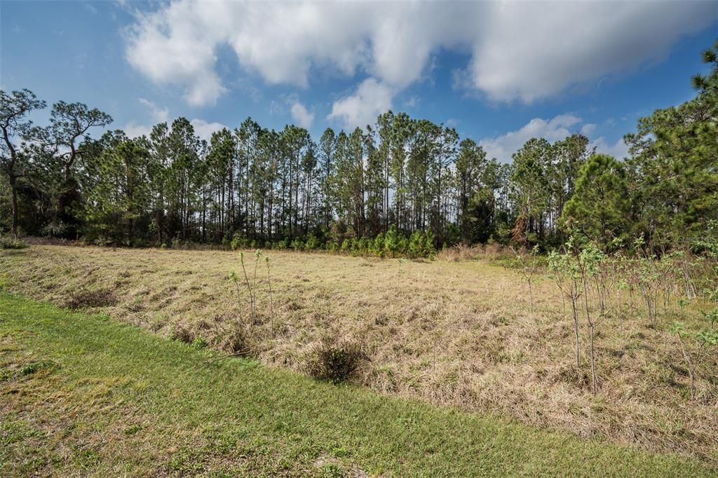 For Sale: $265,000 (6.50 acres)