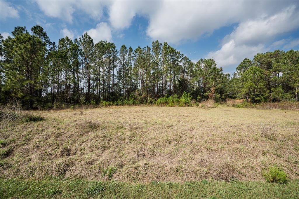 For Sale: $265,000 (6.50 acres)