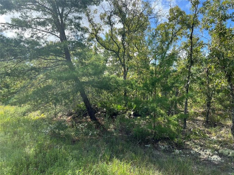 待售: $69,900 (1.16 acres)