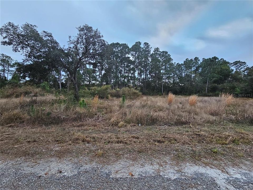 En Venta: $36,000 (0.50 acres)