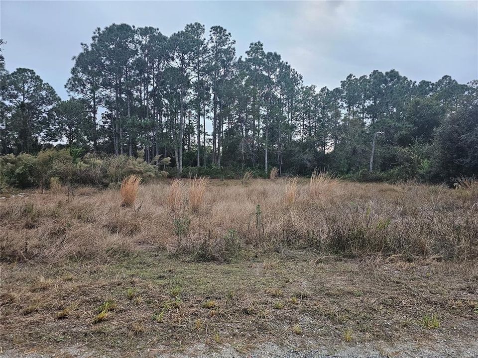 En Venta: $36,000 (0.50 acres)