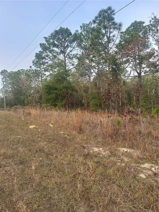 For Sale: $63,900 (1.16 acres)