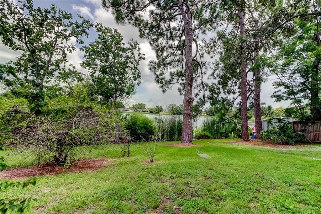 В аренду: $2,600 (3 спален, 2 ванн, 1262 Квадратных фут)