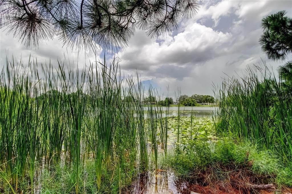 В аренду: $2,600 (3 спален, 2 ванн, 1262 Квадратных фут)