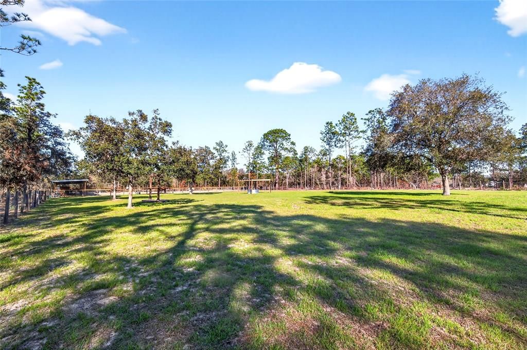 For Sale: $350,000 (3 beds, 2 baths, 1620 Square Feet)