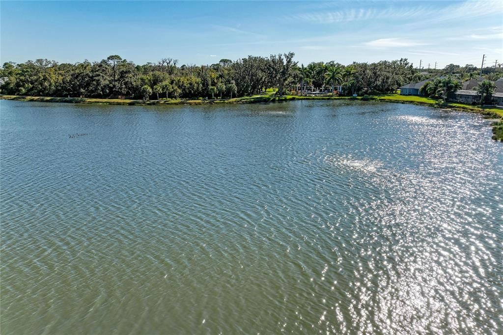 На продажу: $570,000 (3 спален, 2 ванн, 1790 Квадратных фут)