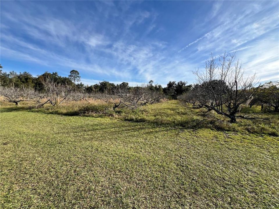 En Venta: $349,000 (5.00 acres)