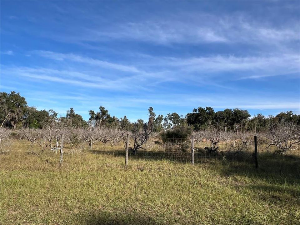 En Venta: $349,000 (5.00 acres)