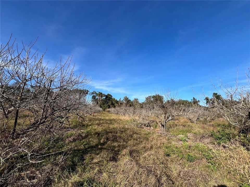 En Venta: $349,000 (5.00 acres)