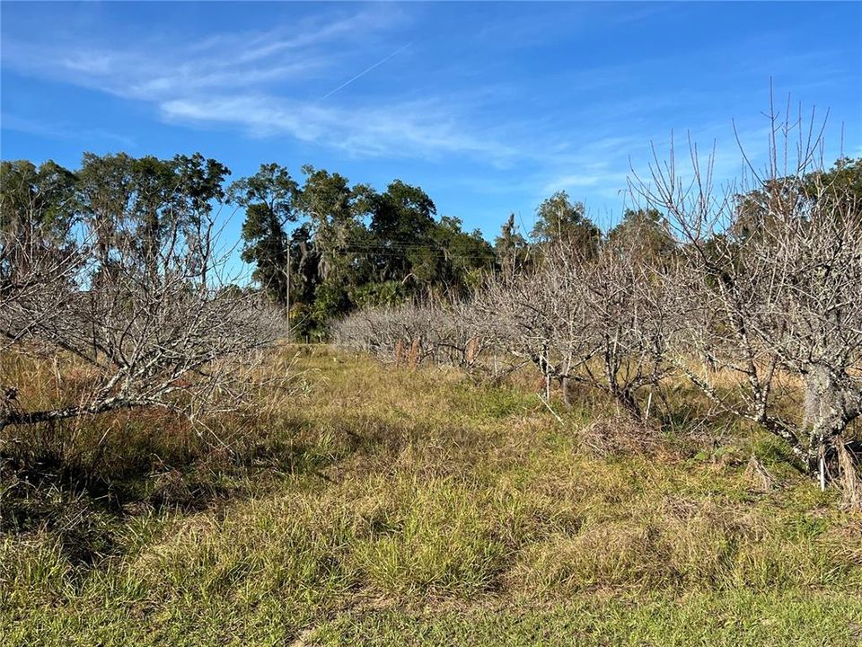 En Venta: $349,000 (5.00 acres)