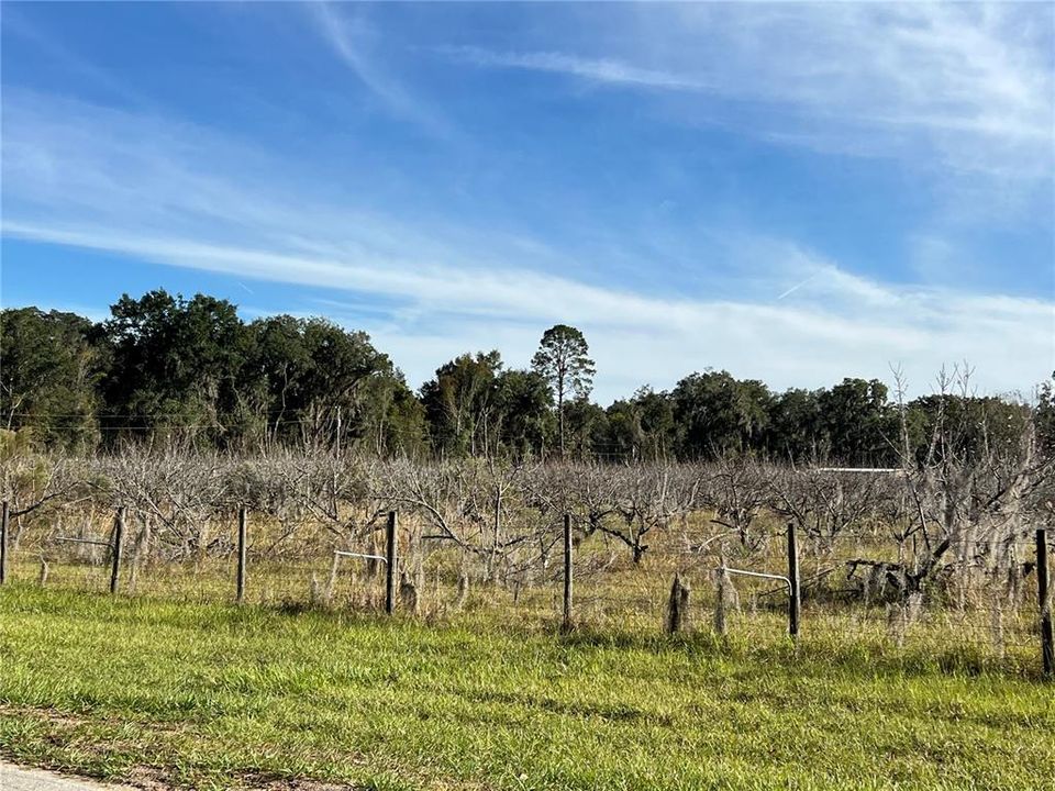 En Venta: $349,000 (5.00 acres)