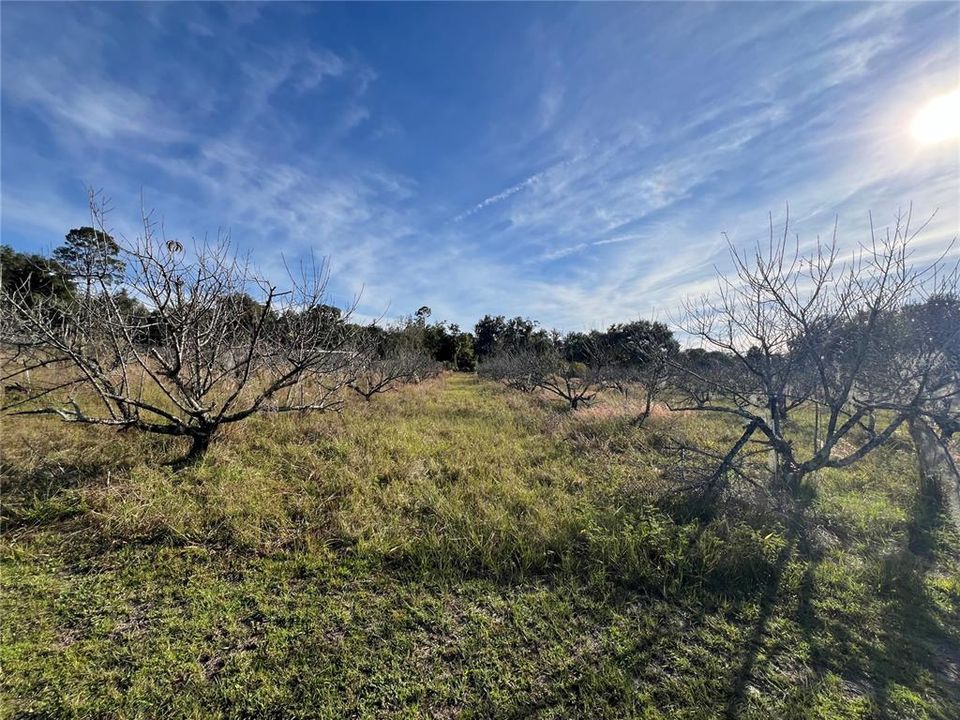 En Venta: $349,000 (5.00 acres)