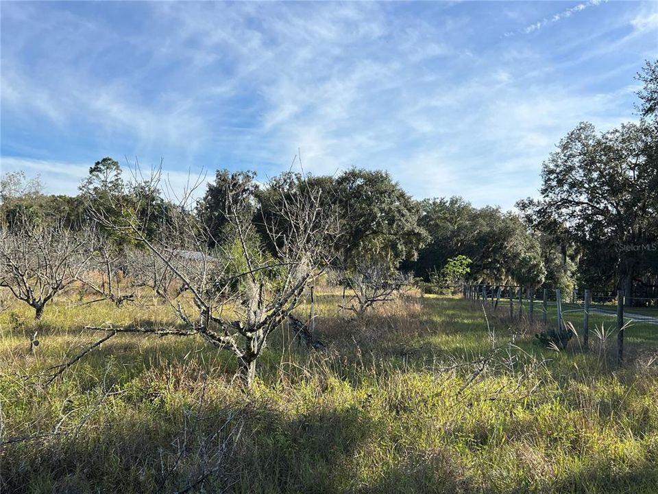 En Venta: $349,000 (5.00 acres)