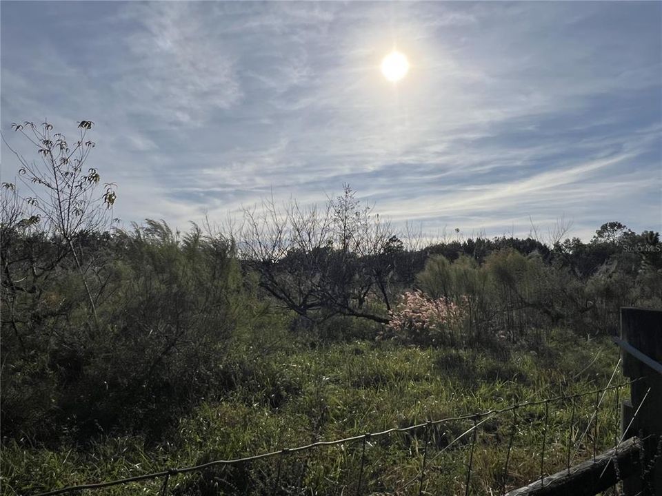 En Venta: $349,000 (5.00 acres)