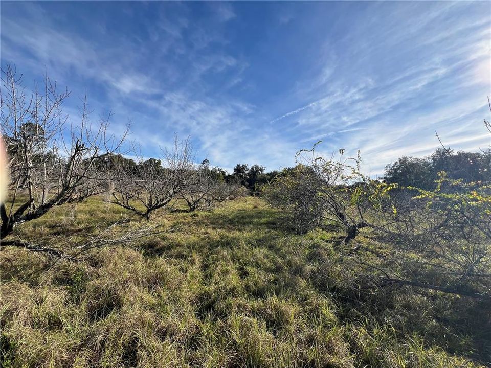 En Venta: $349,000 (5.00 acres)
