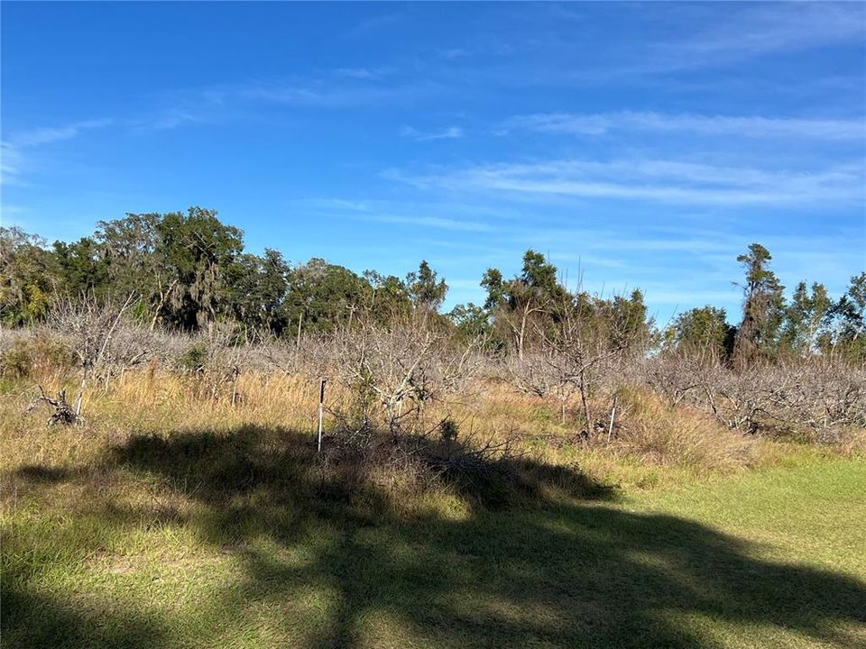 En Venta: $349,000 (5.00 acres)