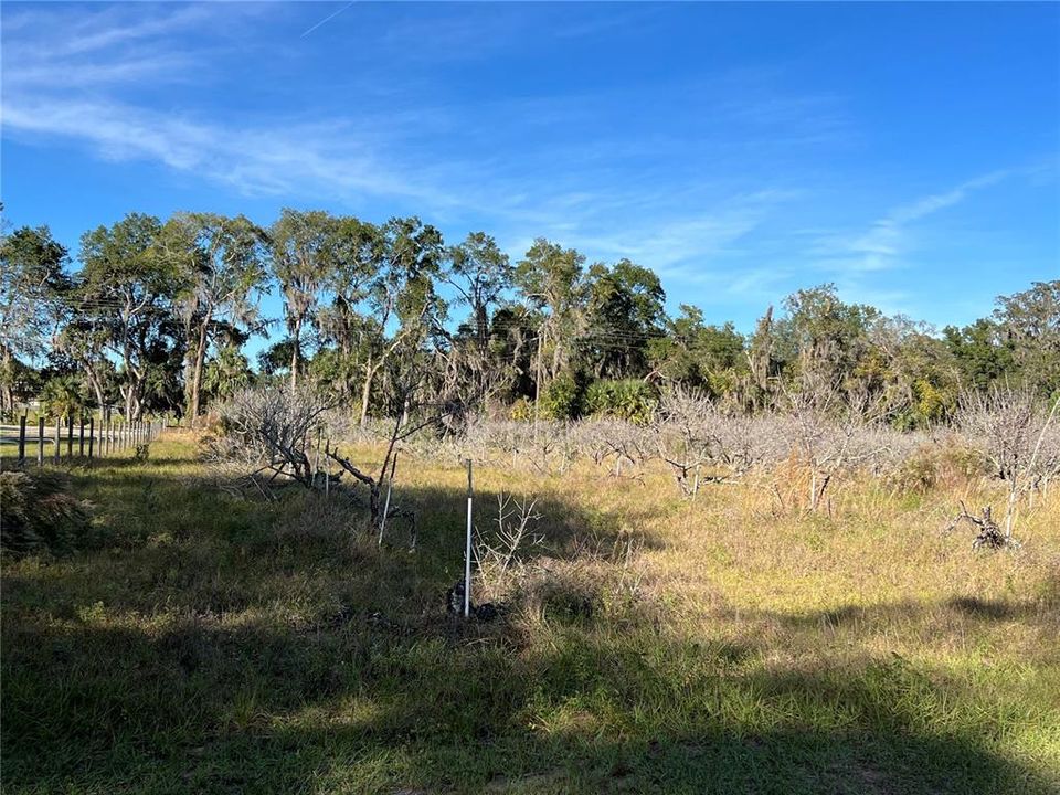 En Venta: $349,000 (5.00 acres)