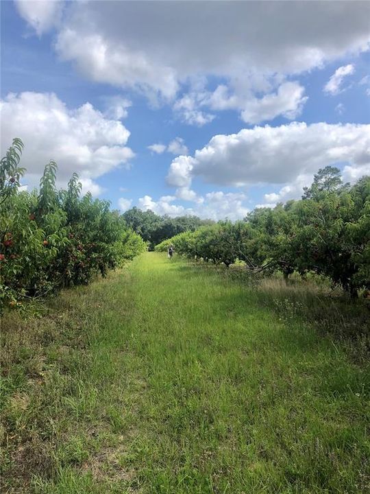 En Venta: $349,000 (5.00 acres)