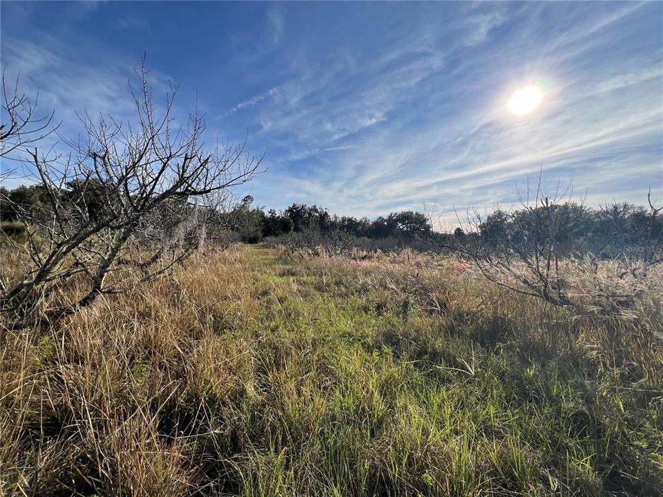 En Venta: $349,000 (5.00 acres)