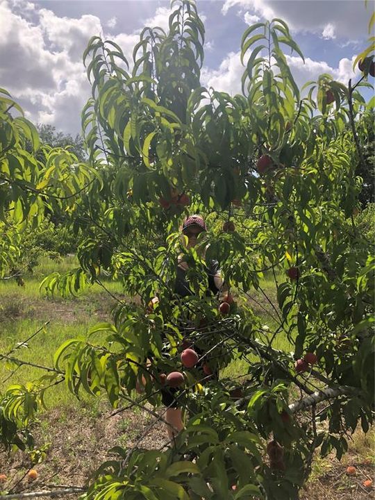 En Venta: $349,000 (5.00 acres)