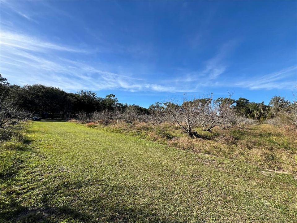 En Venta: $349,000 (5.00 acres)