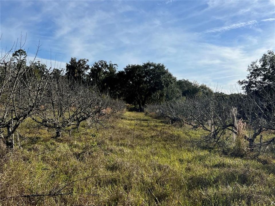 En Venta: $349,000 (5.00 acres)