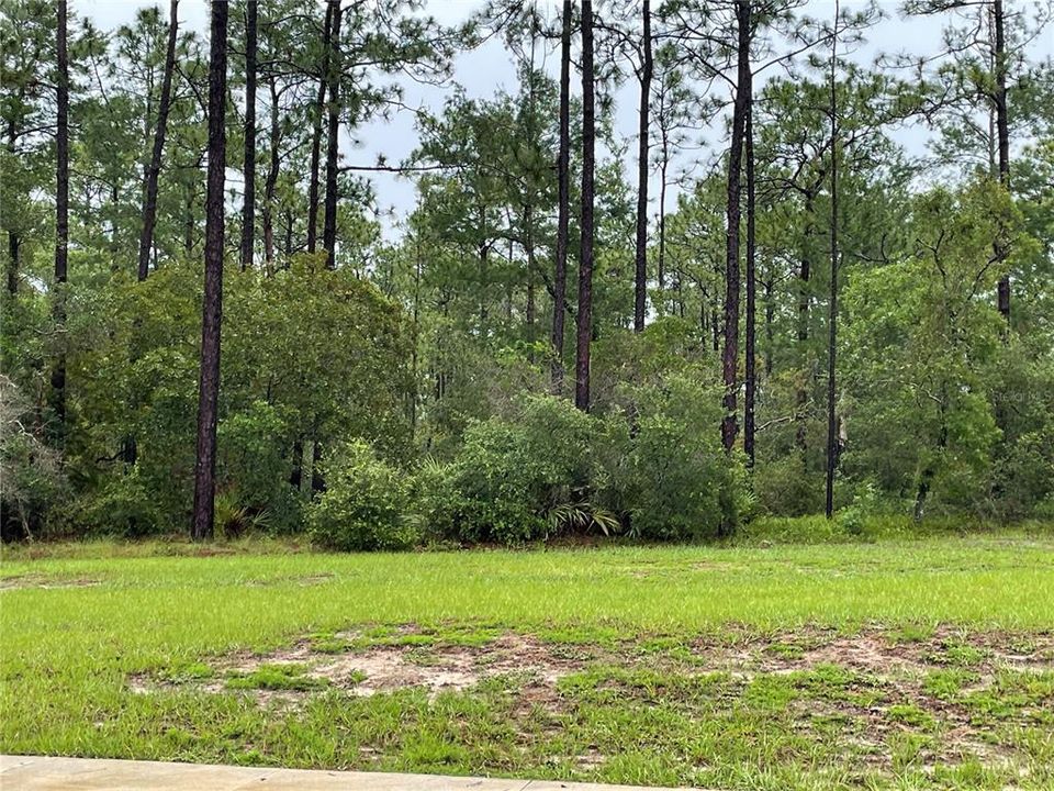 待售: $85,000 (0.65 acres)