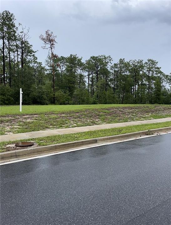 待售: $85,000 (0.65 acres)