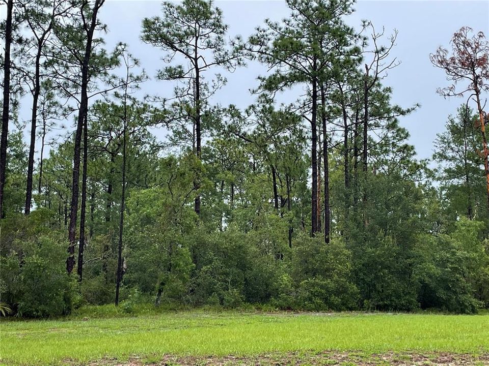 待售: $85,000 (0.65 acres)