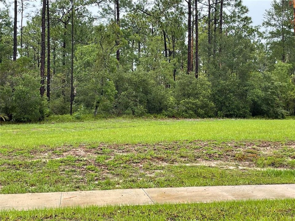 待售: $85,000 (0.65 acres)