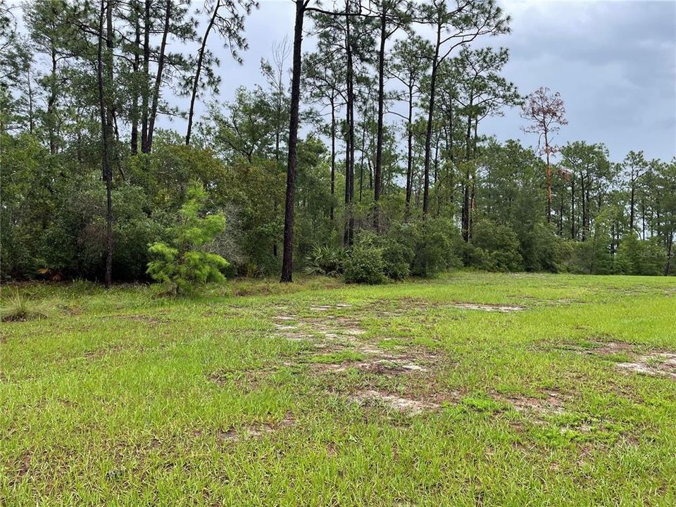 待售: $85,000 (0.65 acres)